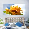 Sunflowers Posters Canvas Painting Sunset Sky Landscape Prints Wall Art Pictures For Living Room Modern Cuadros Home Decoration