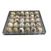 Packing Boxes Wholesale 18 Holes Quail Eggs Holder Container Empty Box 6/12/15/20/24/30Holes Plastic Clear Egg Storage Drop Delivery O Dhw3M