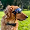 Appareils pour chiens pour gros chiens Golden Retriever Labrador Husky Shepher allemand Dobermann Lunettes de soleil