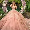 Sparing Quinceanera sukienki brokatowe koronkowe aplikacje kwiat vestidos de 15 Quinceanera Ball z szał strony urodzin