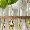 Vazolar ekici teraryum, ahşap stand retro tüp şekilli asılı bitki bahçe tutkunları için hediye