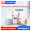 Papel Niimbot B21 Impressora de etiqueta sem fio Portátil, Pocket Mini Bluetooth Thermal Printer, Home Office School Supplies Printing Fast