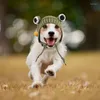 Chapeaux de vêtements pour chiens pour chats drôles et mignons de vinaigrette Costume de chat