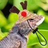 Appareils pour chiens Chapeau de paille Lézard Reptile Christmas Costume pour les dragons barbus Yarn Crawling Pet Decor