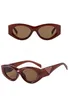 Lunettes de soleil Classic Eyeglass Goggle Outdoor Beach Sun Sunes For Man Woman Mix Couleur en option Signature triangulaire en option