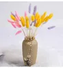 Decorative Flowers 30pcs Cake Decor Natural Dried White Artificial Colorful Fake Tail Grass Bouquet Long Bunches