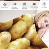 Filtar soffa potatis kast filt fluffig mjuk modebäddsäckar