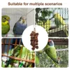 Autres fournitures d'oiseaux Toys en cage avec des pommes de pin râpe de jouet swing à mastication naturelle pour les oiseaux pour animaux de compagnie