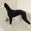 Vêtements pour chiens petits et moyens vêtements d'automne / hiver stretch chaud pull whitbit greyhound accessoires veste