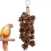 Autres fournitures d'oiseaux Toys en cage avec des pommes de pin râpe de jouet swing à mastication naturelle pour les oiseaux pour animaux de compagnie