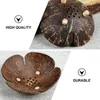 Bowls Coconut Shell Storage Bowl Plate Home Ornament Soap Drain Candy Holder Container