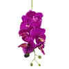 Dekorative Blumen 1PC Simulation Einer Schmetterling Orchideenblume künstliche Kunststoff gefälschter Hochzeitshome El Bar Weihnachtsfeier Dekoration