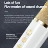 Mikrofony Przenośna karaoke na zewnątrz z podwójnym mikrofonem mobilnym głośnikami ładownym ładownym wyposażeniem do śpiewania domu o dużej mocy 100 W