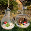 Vases Mini Transparent Glass Hanging Ball Ornaments Micro Landscape Container Hydroponics Plants Bottles Home Decorations