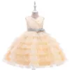 Bright White Pink Champagne V-Neck Layers Girl's Birthday/Party Dresses Girl's Pageant Dresses Flower Girl Dresses Girls Everyday Skirts Kids' Wear SZ 2-10 D406230