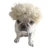 Hundebekleidung lustige Perücke Halloween Haustierprodukte Cosplay Kostüme Requisiten Kopfbedeckungshaardarner Zubehör Drop -Lieferungen