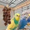 Autres fournitures d'oiseaux Toys en cage avec des pommes de pin râpe de jouet swing à mastication naturelle pour les oiseaux pour animaux de compagnie