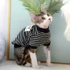 Trajes de gatos corea inslo roupas de primavera, fantoches fofos anti-areia de outono