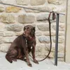 Hundhalsar läder pitbull koppel hållbar stor koppel med bergsklättring spänne utomhus husdjur leder koppel för medelstora hundar