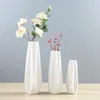 Vazo seramik vazo ev süslemesi büyük cam teraryum masa centerpieces düğün porselen flowerpot
