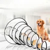 Colliers de chien Collier de protection pour animaux