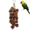 Autres fournitures d'oiseaux Toys en cage avec des pommes de pin râpe de jouet swing à mastication naturelle pour les oiseaux pour animaux de compagnie