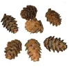 Vases 50 PCS Small Pine Cone POPS PRIPS DÉCORATIVE FRUTS DRÉT