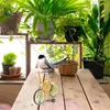 Andra fågelförsörjningar Toy Parrot Bicycle Plastic Education Toys Training Bike Woode Birds