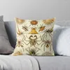 Aracnídeos de travesseiro - Ernst Haeckel Throw Sofá S Couch Couch Pillows
