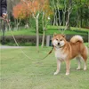 Köpek tasması tasma kayması ipi Pet yuvarlak kurşun yansıtıcı tasma halatları, orta büyük köpekler için yürüme çekiş eğitimi