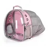 Cat Carriers Crates Houses Bag Out Portable Transparent Space Capsule PET Ryggsäck Utökad andningsskatt H240407