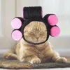 Costume de vêtements pour chiens Costume de compagnie de compagnie Chapeaux de chat