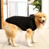 犬アパレルファッションペットパーカーポケットジッパー大きな服ビッグ衣服中程度の大きな犬用ゴールデンレトリバーペット服のためのソリッドセーター