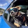 Hundebekleidung 6 Farben süße Haustier Sonnenbrille Sonnenbrille Katzenbrillen Augen tragen Welpen Schutzzubehör Dekoration Dekoration