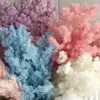 Flores decorativas preservadas Penglai Pine Eterno Flor Velas Molde resina epóxi DIY Material seco Decoração da sala de sala