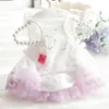 Abito da sposa per cane Abito da gatto Abiti estivi Tutu Chihuahua Yorkie Yorkshire Terrier Pomeranian Bichon Frize Poodle Abiti 240402