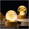 Oggetti decorativi Figurine a sfera rotonda Night Lampada Flower Crystal Light With Woodern Base Office Decorazioni per la casa per uomini Domani bambini DHG6K