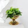 Vasi Metal Flower Vase Gold Fiorna di urna DECORATIVA DECORATIVE Desktop Vintage Tavolo da centrotavola