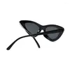 Sunglasses SHONEMES Cat Eye Stylish Women Eyewear Inverted Triangle Outdoor UV400 Sun Glasses For Ladies