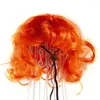 Hondenkleding Pet Wigs Cosplay Props Hoofdtooi Halloween Hoofdtraden Kleed Cat Wig Accessoires Accessoires Leveringen