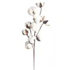 装飾的な花自然に乾燥した綿の茎人工花フィラー花の装飾