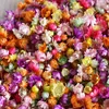 Decorative Flowers 280/650pcs Little Star Flower Head DIY Craft Epoxy Resin Candle Making Jewellery Home Party Decor Press