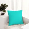 Oreiller couleur unie à la turquoise vive - une fusion de bleu vert pour ceux qui aiment les couleurs d'été jettent des oreillers ornementaux