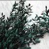 Fleurs décoratives eternellle eucalyptus séchée feuilles camaldulensis guirland pour le mariage à la maison