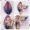 Decorative Flowers Dried Small Bouquets For Cakes Decoration Natural Pampas Grass Bouquet Set Colorful Boho Cake Toppers Decorations