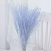 Decorative Flowers Natural Dried Reed Grass With Primary Color Pink And Black High Quality Bouquet Shooting Props Table Bedroom Decoratio