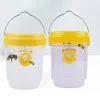 TRAPS 2 Pack Solar Powered Wasp Trap Lights Waterproof Outdoor Hanging Trap Safe Nontoxic Bee Hornet Traps återanvändbara trädgårdsmaterial