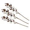 Decorative Flowers 3pcs 10 Bolls Natural Cotton Stems Kapok Dried Flower Wedding Party Home Decoration 60cm