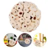 Other Bird Supplies 6 Pcs Parrot Foraging Toy Toys Guinea Pig Chewing Wooden Treats Chinchilla Ball