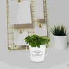 Vasos Tin Bucket Flower Plant Creative Plant Vas